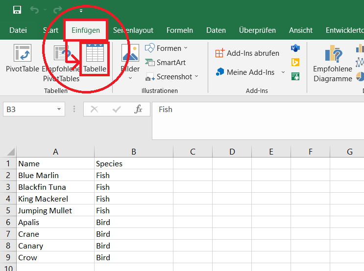 Tabelle in Excel erstellen
