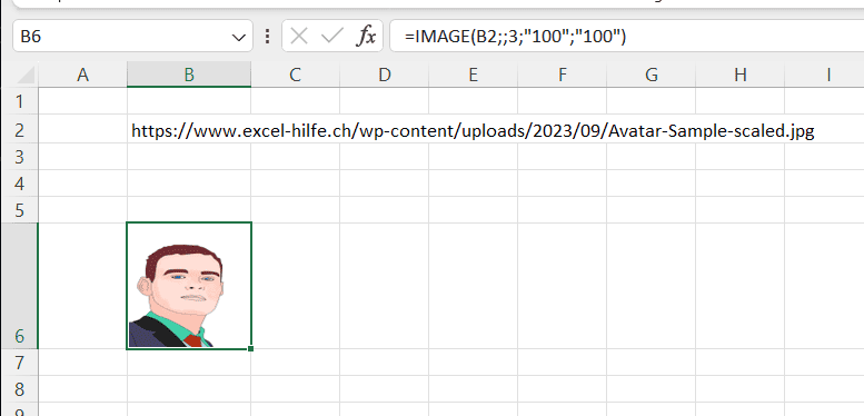 Excel IMAGE-Funktion